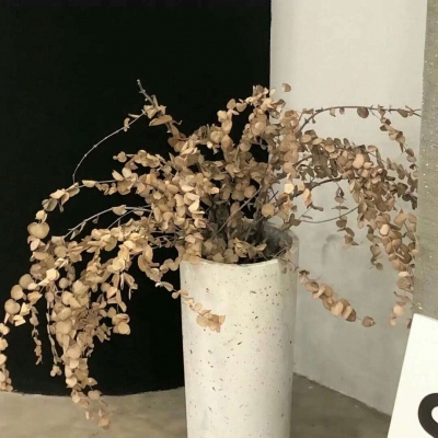 怀集FurryQQ群介绍